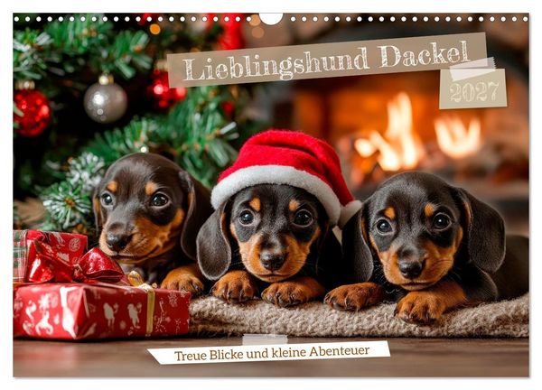 Produktbild: Lieblingshund Dackel (Wandkalender 2027 DIN A3 quer), CALVENDO Monatskalender