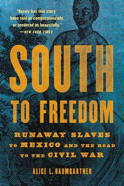 Produktbild: South to Freedom