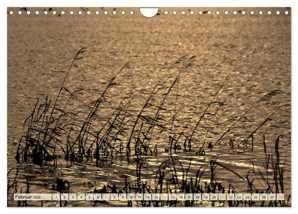 Produktbild: Landschaft an der W&uuml;mme (Wandkalender 2026 DIN A4 quer), CALVENDO Monatskalender