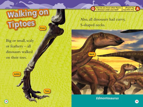 Produktbild: Dinosaurs