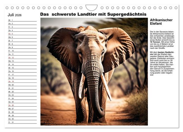 Produktbild: Tierische Rekorde (Wandkalender 2026 DIN A4 quer), CALVENDO Monatskalender