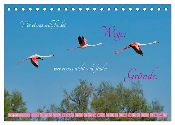 Produktbild: The Power Of Pink (Tischkalender 2026 DIN A5 quer), CALVENDO Monatskalender