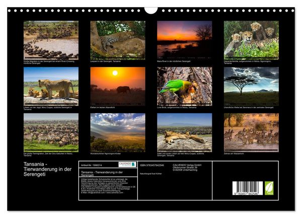 Produktbild: Tansania - Tierwanderung in der Serengeti (Wandkalender 2026 DIN A3 quer), CALVENDO Monatskalender
