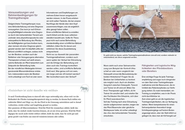 Produktbild: Trainingstherapie