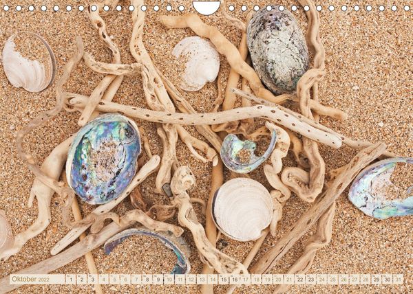 Produktbild: Am Strand - Fundst&uuml;cke und Kunstwerke (Wandkalender 2022 DIN A4 quer)