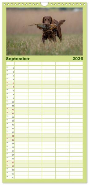 Produktbild: Familienplaner 2026 - Jagdhunde bei der Arbeit mit 5 Spalten (Wandkalender, 21 x 45 cm) CALVENDO