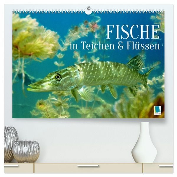 Produktbild: Fische in Teichen und Fl&uuml;ssen (hochwertiger Premium Wandkalender 2026 DIN A2 quer), Kunstdruck in Hochglanz