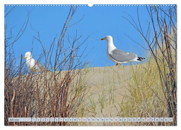 Produktbild: Langeoog - Natur Pur (Wandkalender 2026 DIN A2 quer), CALVENDO Monatskalender