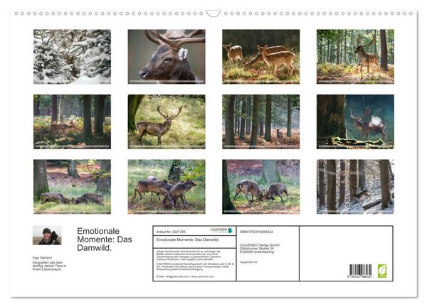 Produktbild: Emotionale Momente: Das Damwild. (Wandkalender 2026 DIN A2 quer), CALVENDO Monatskalender