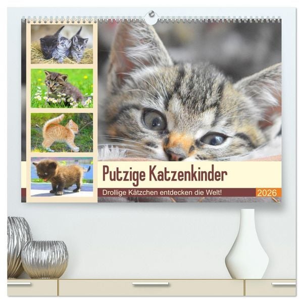 Produktbild: Putzige Katzenkinder. Drollige K&auml;tzchen entdecken die Welt! (hochwertiger Premium Wandkalender 2026 DIN A2 quer), Kunstdruck in Hochglanz