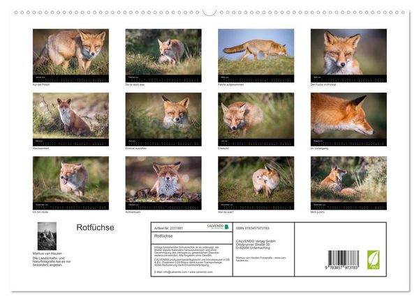 Produktbild: Rotf&uuml;chse (hochwertiger Premium Wandkalender 2026 DIN A2 quer), Kunstdruck in Hochglanz