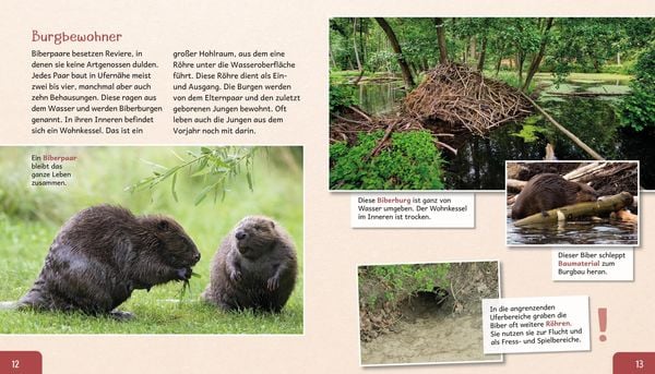 Produktbild: Meine gro&szlig;e Tierbibliothek: Der Biber