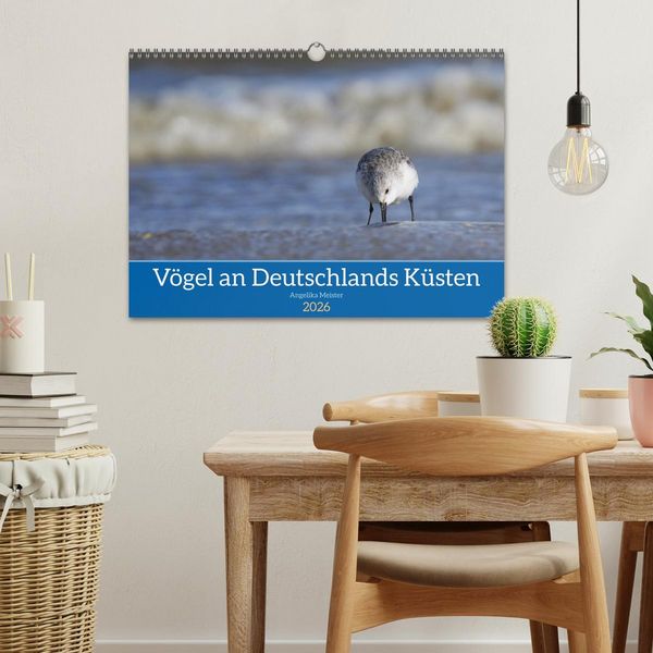 Produktbild: V&ouml;gel an Deutschlands K&uuml;sten (Wandkalender 2026 DIN A3 quer), CALVENDO Monatskalender