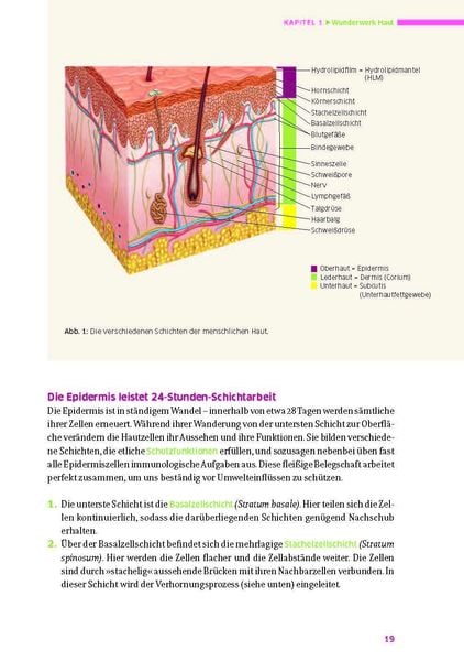 Produktbild: Das gro&szlig;e Buch f&uuml;r die gesunde Haut
