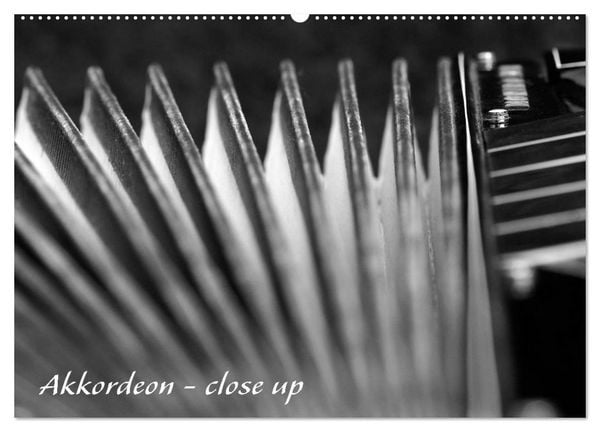 Produktbild: Akkordeon - close up (Wandkalender 2026 DIN A2 quer), CALVENDO Monatskalender