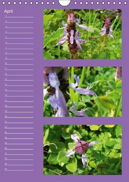 Produktbild: Zauberwelt der Blumen - Eiskristalle & Wasserperlen / Geburtstagskalender (Wandkalender immerw&auml;hrend DIN A4 hoch)