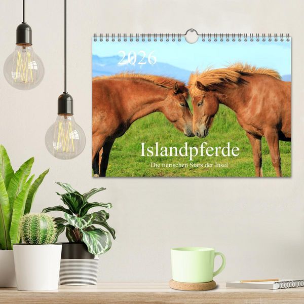 Produktbild: Islandpferde - Die tierischen Stars der Insel (Wandkalender 2026 DIN A4 quer), CALVENDO Monatskalender