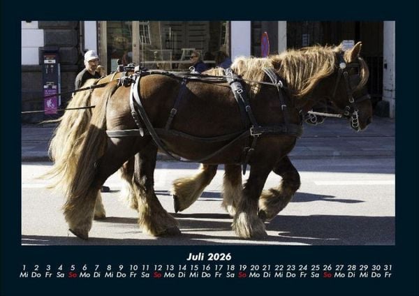Produktbild: Die Welt der Pferde 2026 Fotokalender DIN A4