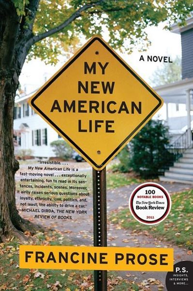 Produktbild: My New American Life