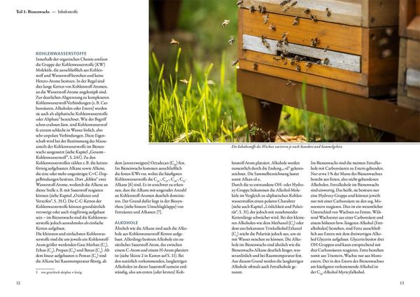 Produktbild: Bienenwachs und Wachskreislauf