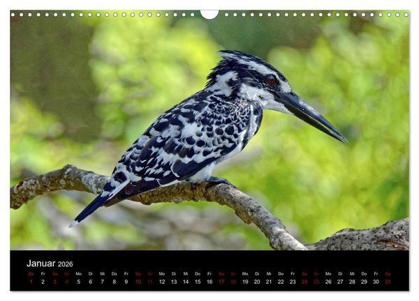 Produktbild: Sri Lanka - Tierische Momente (Wandkalender 2026 DIN A3 quer), CALVENDO Monatskalender