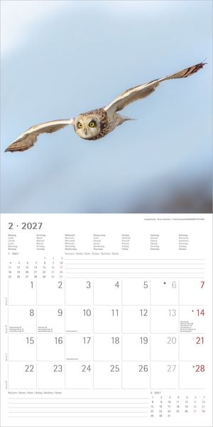 Produktbild: Eulen 2027