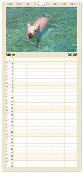 Produktbild: Familienplaner 2026 - Schwimmende Schweine auf den Bahamas! mit 5 Spalten (Wandkalender, 21 x 45 cm) CALVENDO