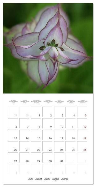 Produktbild: ENCHANTING FLOWERS (Wall Calendar 2026 12 &times; 12 Inch) CALVENDO 12 Month Wall Calendar