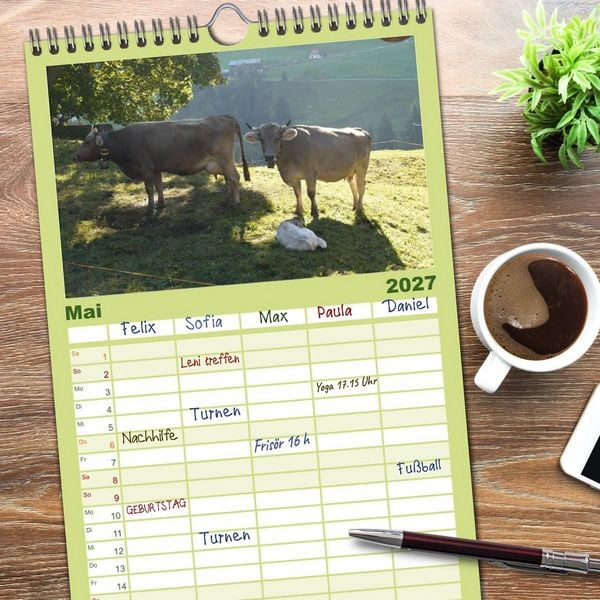 Produktbild: Familienplaner 2027 - K&uuml;he mit H&ouml;rnern mit 5 Spalten (Wandkalender, 21 x 45 cm) CALVENDO