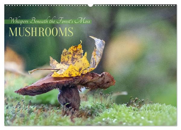 Produktbild: Whispers Beneath the Forest's Moss Mushrooms (Wall Calendar 2026 DIN A2 landscape), CALVENDO 12 Month Wall Calendar