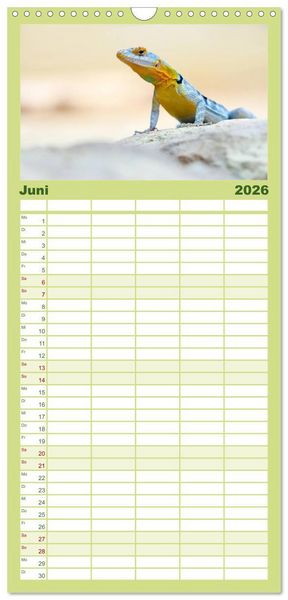 Produktbild: Familienplaner 2026 - Echsen - Schuppige &Uuml;berlebensk&uuml;nstler mit 5 Spalten (Wandkalender, 21 x 45 cm) CALVENDO