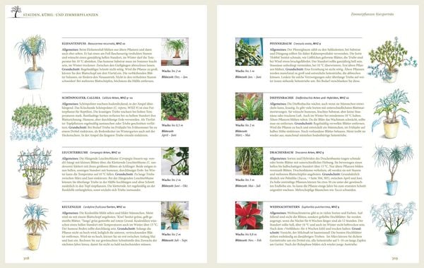 Produktbild: Das gro&szlig;e GU Praxishandbuch Pflanzenschnitt