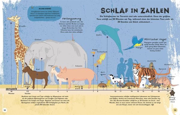 Produktbild: Alles &uuml;bers Schlafen