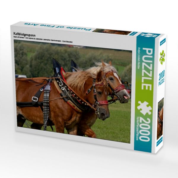 Produktbild: Kaltblutgespann (Puzzle)