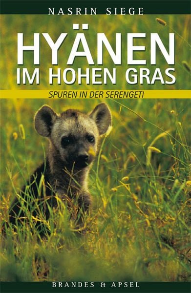 Hyänen im hohen Gras, Taschenbuch von Nasrin Siege, Brandes & Apsel, 9783860995051