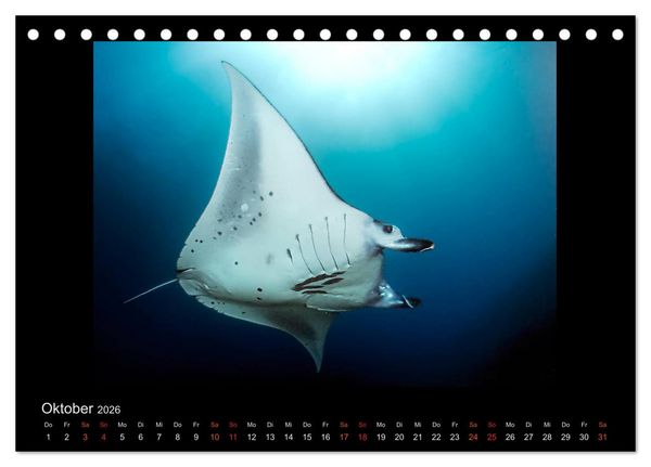 Produktbild: Ocean-Art / CH-Version (Tischkalender 2026 DIN A5 quer), CALVENDO Monatskalender