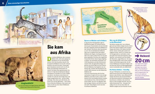 WAS IST WAS Band 59 Katzen. Flinke Jäger auf Samtpfoten