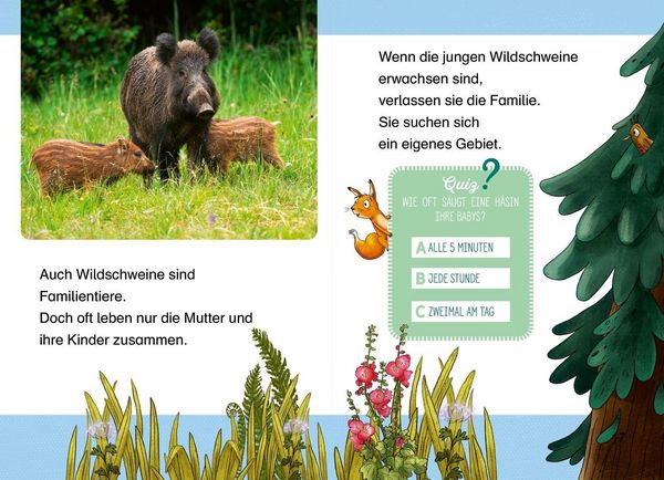 Produktbild: Komm mit uns in den Wald