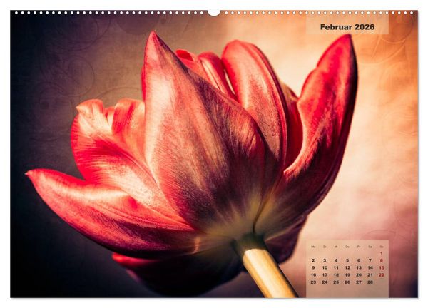Produktbild: Bl&uuml;ten im Retro-Style (Wandkalender 2026 DIN A2 quer), CALVENDO Monatskalender