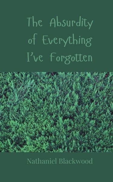 Produktbild: The Absurdity of Everything I've Forgotten
