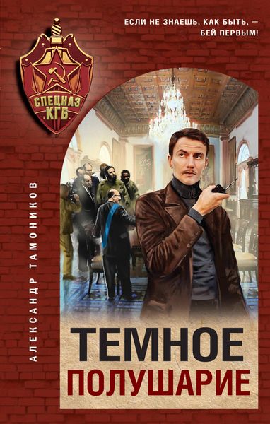 Produktbild: Temnoe polusharie