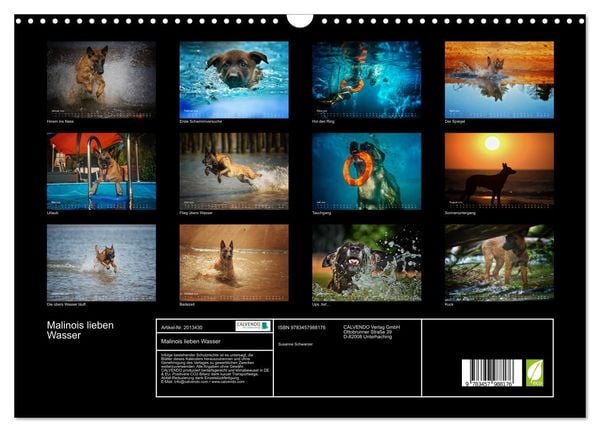 Produktbild: Malinois lieben Wasser (Wandkalender 2026 DIN A3 quer), CALVENDO Monatskalender