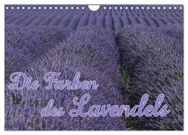 Die Farbe des Lavendels (Wandkalender 2026 DIN A4 quer), CALVENDO Monatskalender