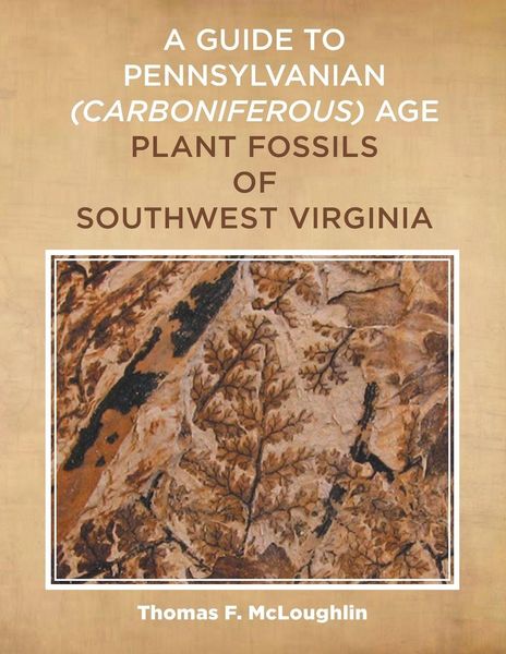Produktbild: A Guide to Pennsylvanian (Carboniferous) Age Plant Fossils of Southwest Virginia