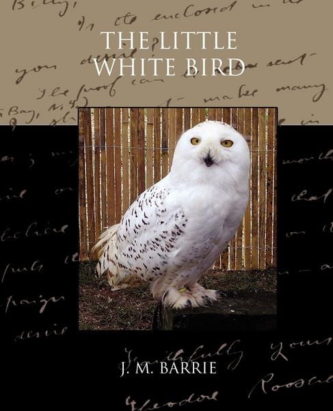 Produktbild: The Little White Bird