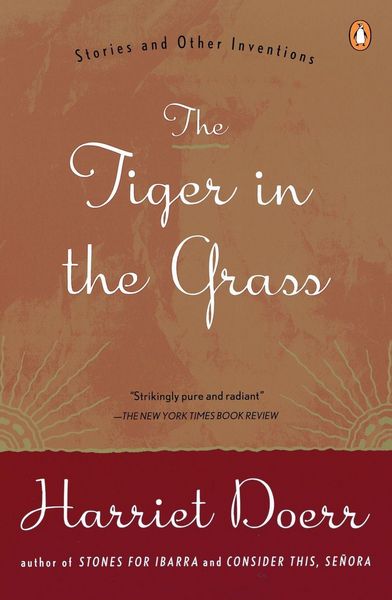 Produktbild: The Tiger in the Grass