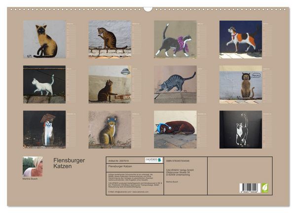 Produktbild: Flensburger Katzen (Wandkalender 2026 DIN A2 quer), CALVENDO Monatskalender