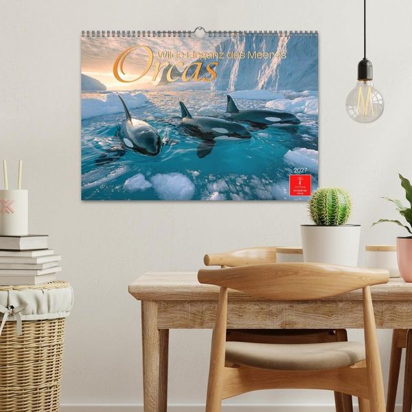 Produktbild: Orcas - Wilde Eleganz des Meeres (Wandkalender 2027 DIN A3 quer), CALVENDO Monatskalender