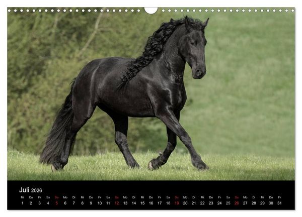 Produktbild: Friesen - Sch&ouml;nheit, Kraft und Eleganz (Wandkalender 2026 DIN A3 quer), CALVENDO Monatskalender