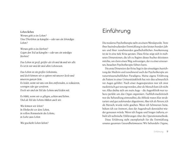 Produktbild: Die Seele des Psychotherapeuten